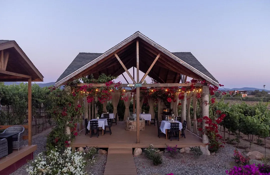Tres Vides Hotel Boutique-1